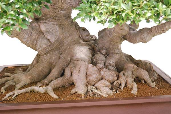 DSC_2801.jpg DSC_2801.jpg