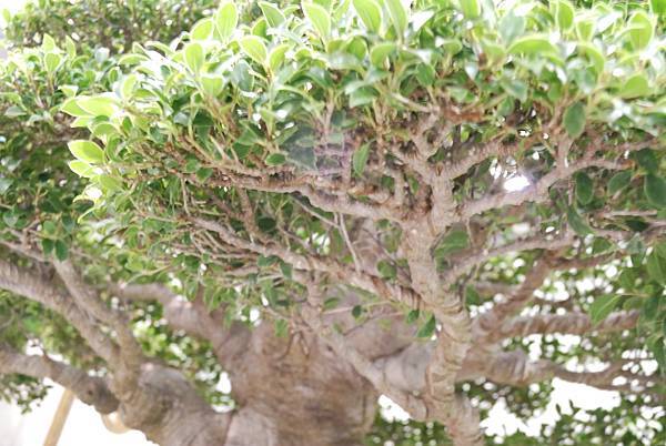 DSC_2805.jpg DSC_2805.jpg