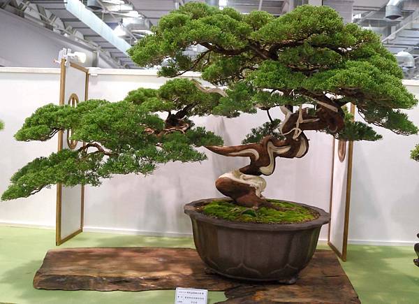 DSC_2807.jpg DSC_2807.jpg