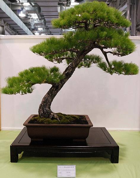 DSC_2808.jpg DSC_2808.jpg