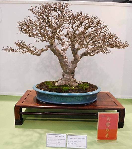 DSC_2809.jpg DSC_2809.jpg