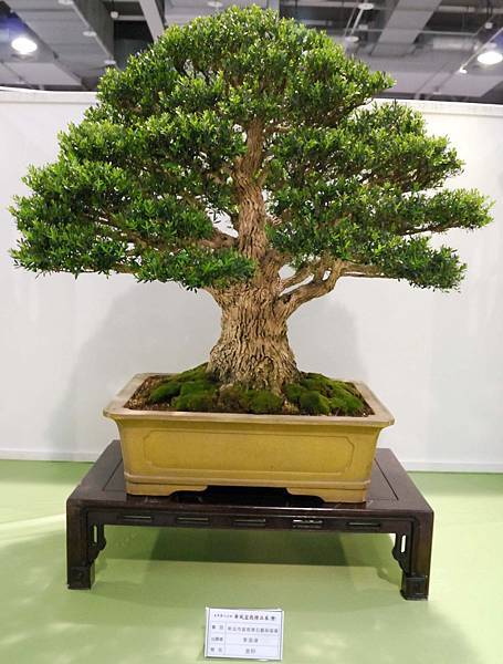 DSC_2810.jpg DSC_2810.jpg