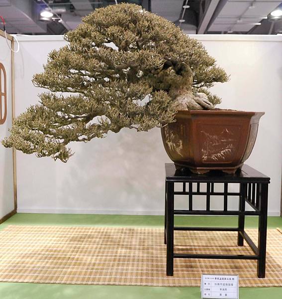 DSC_2813.jpg DSC_2813.jpg