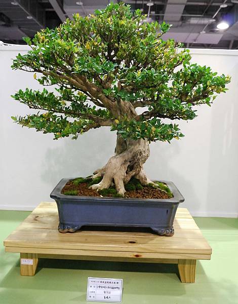 DSC_2815.jpg DSC_2815.jpg