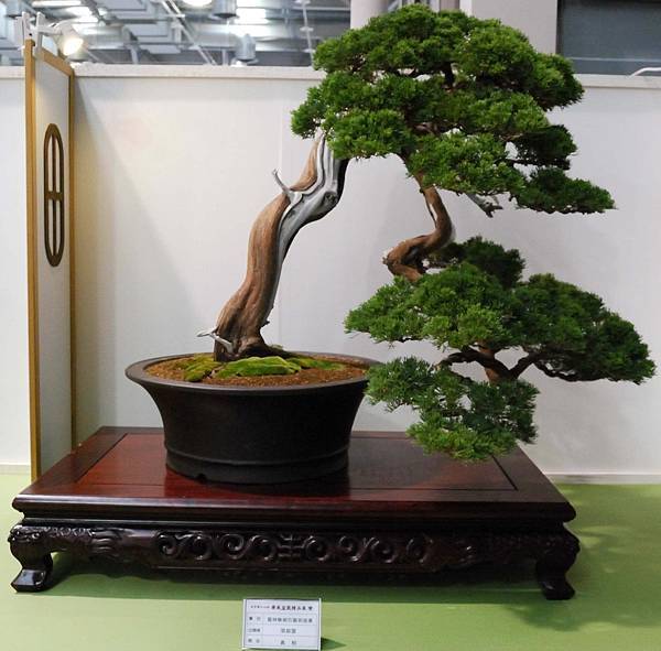 DSC_2820.jpg DSC_2820.jpg