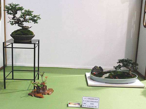 DSC_2818.jpg DSC_2818.jpg