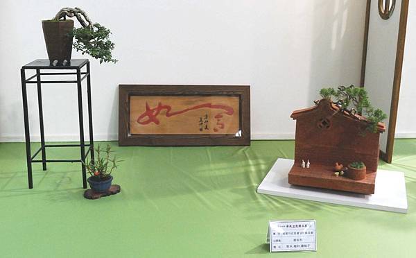 DSC_2819.jpg DSC_2819.jpg