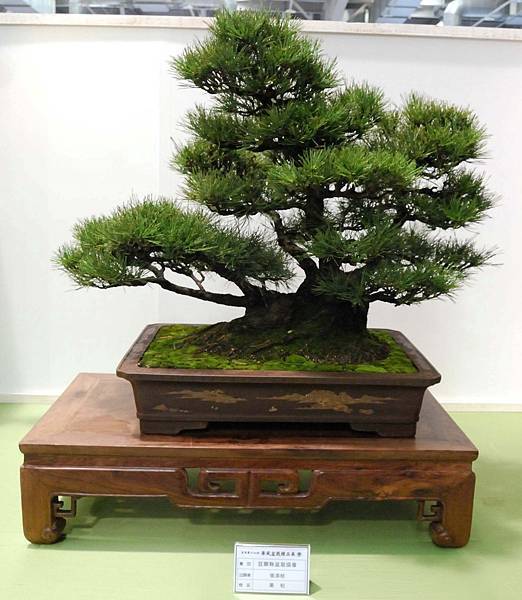 DSC_2821.jpg DSC_2821.jpg