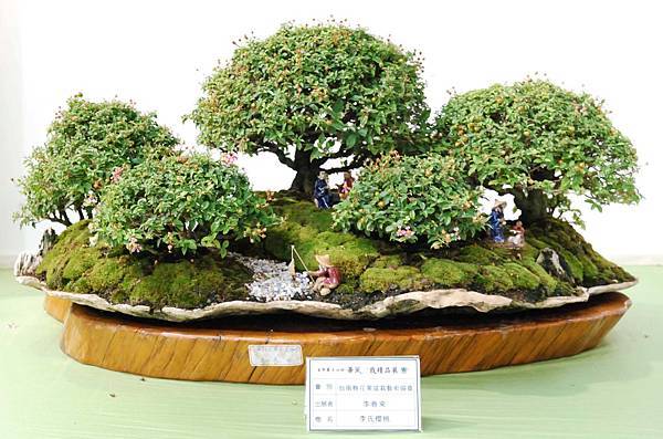 DSC_2822.jpg DSC_2822.jpg