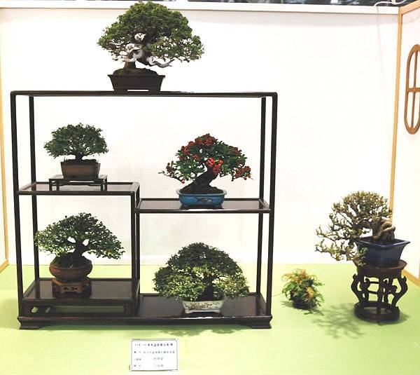 DSC_2823.jpg DSC_2823.jpg