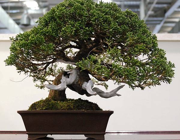 DSC_2824.jpg DSC_2824.jpg