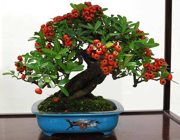 DSC_2826.jpg DSC_2826.jpg