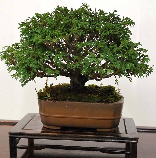 DSC_2825.jpg DSC_2825.jpg