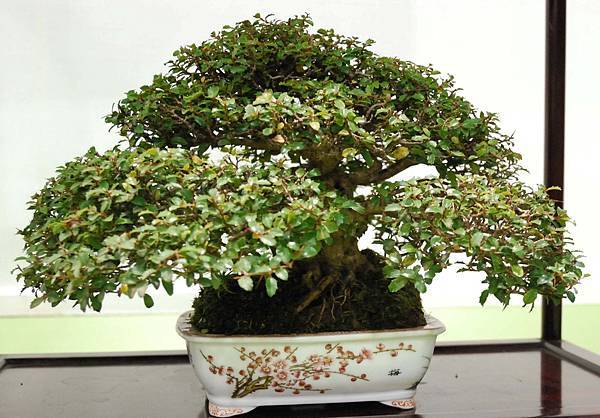 DSC_2828.jpg DSC_2828.jpg