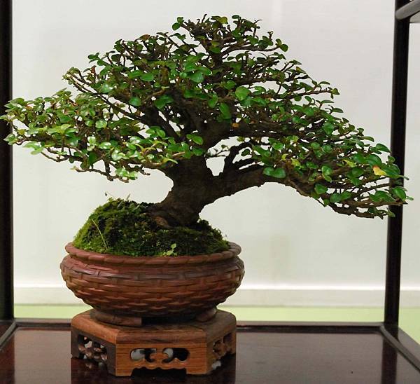 DSC_2827.jpg DSC_2827.jpg