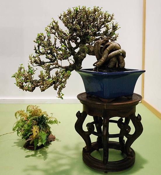 DSC_2829.jpg DSC_2829.jpg