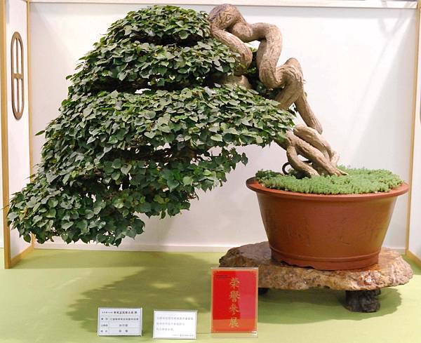 DSC_2834.jpg DSC_2834.jpg