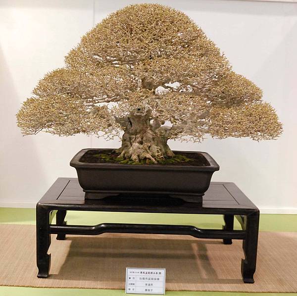 DSC_2836.jpg DSC_2836.jpg