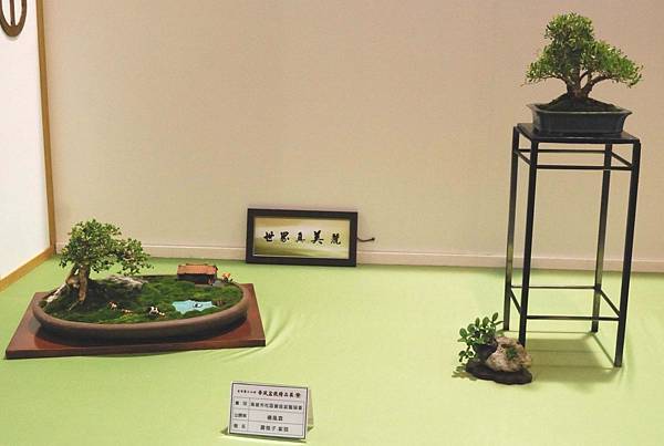 DSC_2837.jpg DSC_2837.jpg