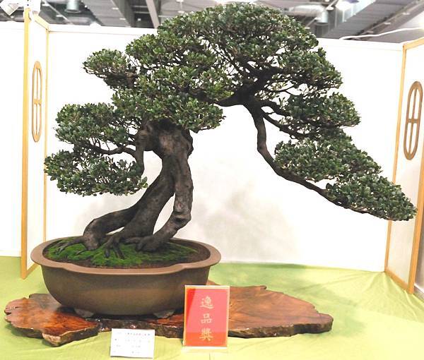 DSC_2840.jpg DSC_2840.jpg