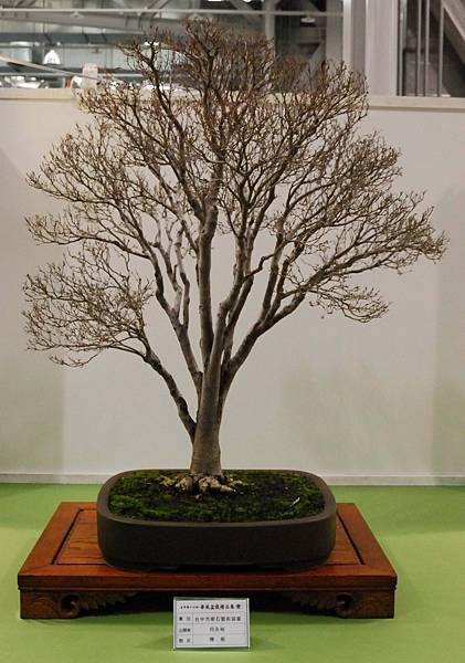 DSC_2839.jpg DSC_2839.jpg