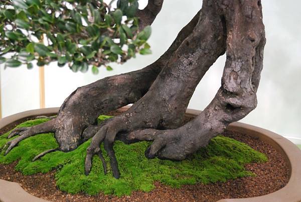 DSC_2841.jpg DSC_2841.jpg