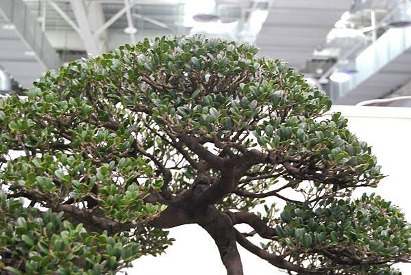 DSC_2843.jpg DSC_2843.jpg