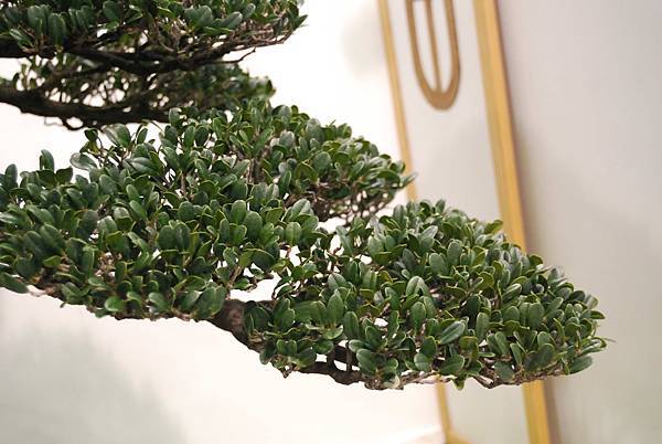 DSC_2842.jpg DSC_2842.jpg