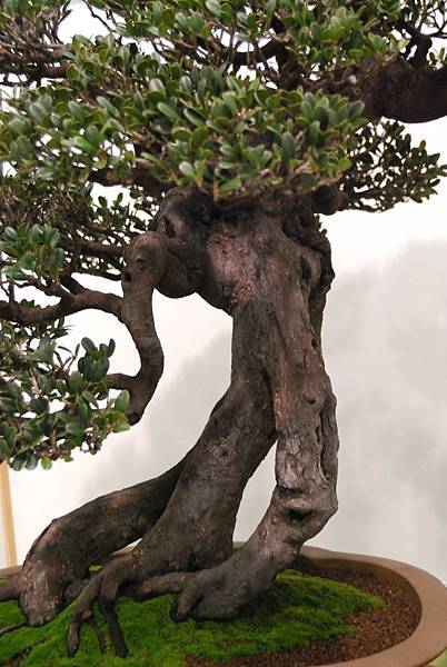 DSC_2844.jpg DSC_2844.jpg