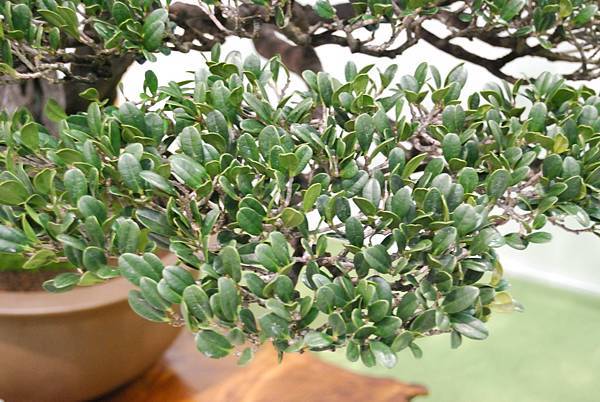 DSC_2845.jpg DSC_2845.jpg