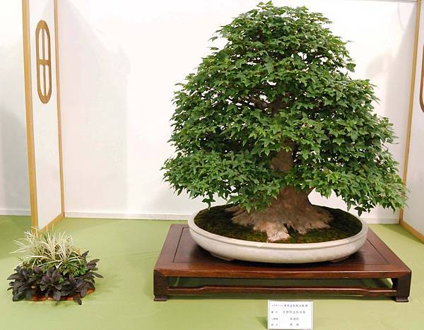 DSC_2847.jpg DSC_2847.jpg