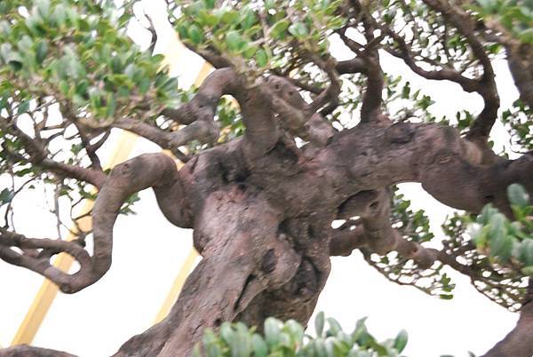 DSC_2846.jpg DSC_2846.jpg