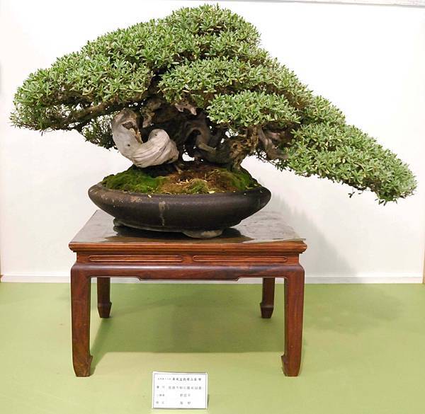 DSC_2849.jpg DSC_2849.jpg