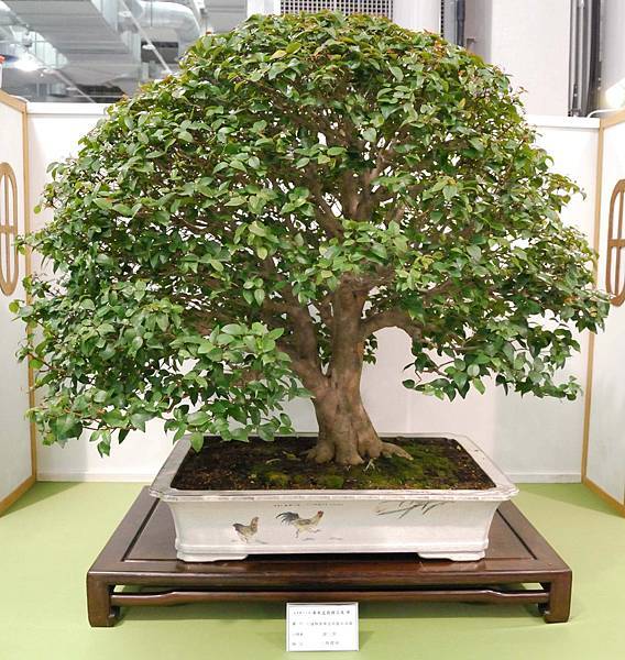 DSC_2848.jpg DSC_2848.jpg