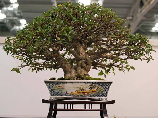 DSC_2851.jpg DSC_2851.jpg