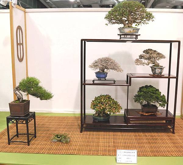 DSC_2850.jpg DSC_2850.jpg