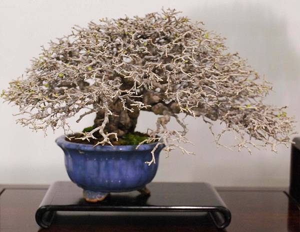 DSC_2852.jpg DSC_2852.jpg