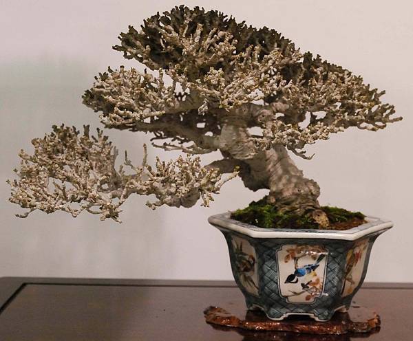 DSC_2853.jpg DSC_2853.jpg