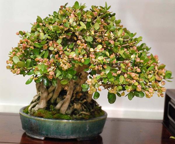 DSC_2854.jpg DSC_2854.jpg