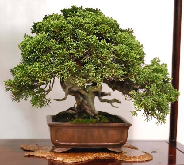 DSC_2855.jpg DSC_2855.jpg