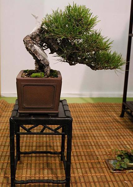 DSC_2857.jpg DSC_2857.jpg