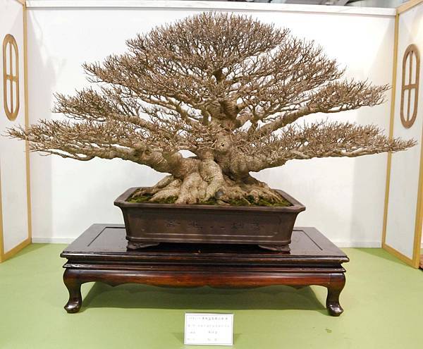 DSC_2858.jpg DSC_2858.jpg