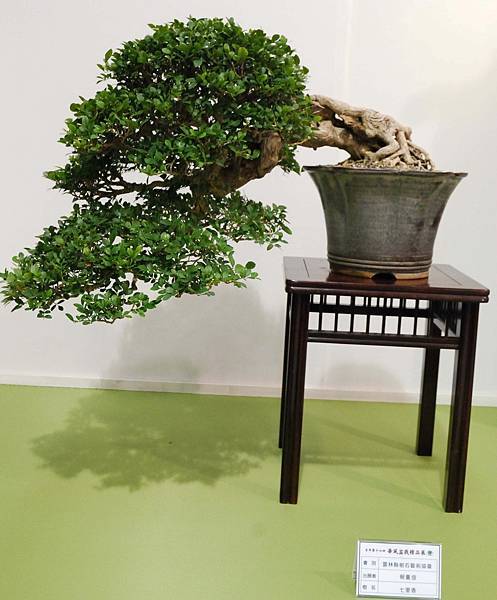 DSC_2859.jpg DSC_2859.jpg