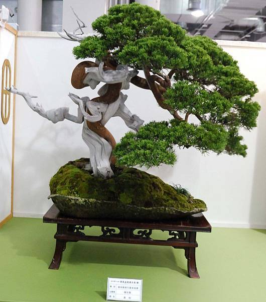 DSC_2862.jpg DSC_2862.jpg