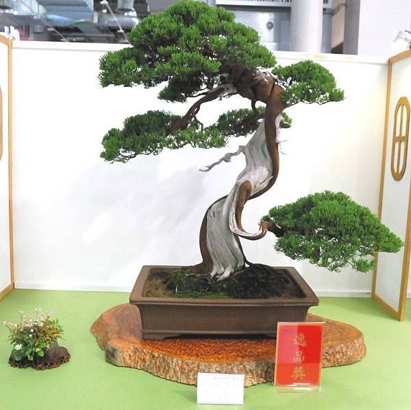 DSC_2863.jpg DSC_2863.jpg