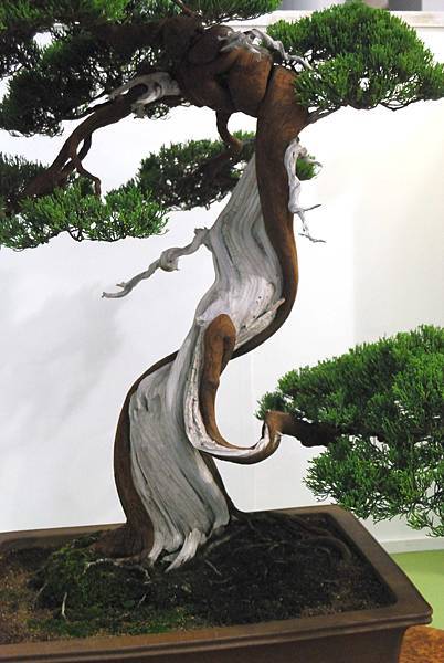 DSC_2864.jpg DSC_2864.jpg