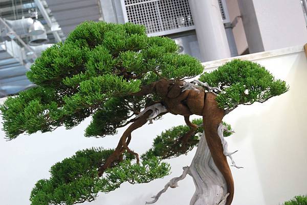 DSC_2865.jpg DSC_2865.jpg