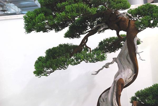 DSC_2866.jpg DSC_2866.jpg