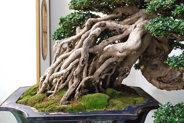 DSC_2869.jpg DSC_2869.jpg