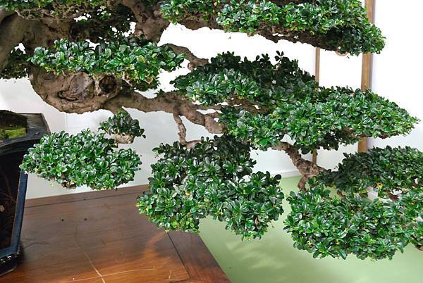 DSC_2870.jpg DSC_2870.jpg